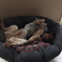 Photo de profil de Lancelot 