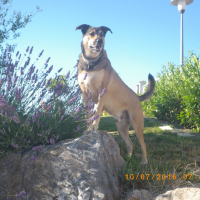 Photo de profil de Djo