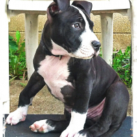 Photo de profil de Malavita 