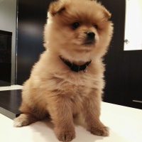 Photo de profil de molly