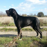 Photo de profil de Georges