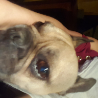 Photo de profil de GUINESS 