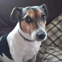 Photo de profil de DOSETTE