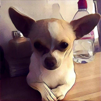 Photo de profil de Olaf(poussin)