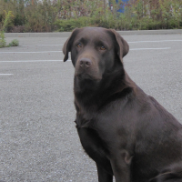 Photo de profil de HELSY-CHOCO