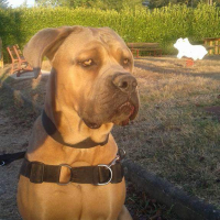 Photo de profil de Spud 