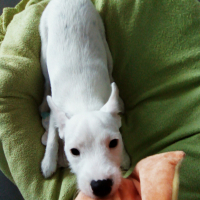 Photo de profil de Lucie