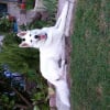 Photo de Louna