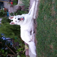 Photo de profil de Louna