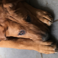 Photo de profil de Aidan