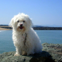 Photo de profil de rexie