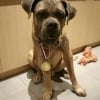 Photo de Ares