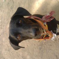 Photo de profil de shanone