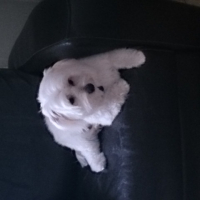 Photo de profil de Izy