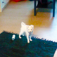 Photo de profil de Lou - Salomé