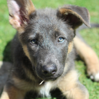 Photo de profil de Mystik