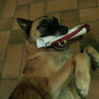 Photo de profil de Noisette 