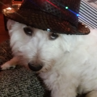 Photo de profil de lucky