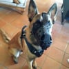 Photo de Leiko