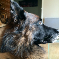 Photo de profil de Eiko