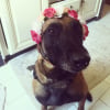 Photo de Ishka