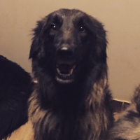Photo de profil de Iyanka