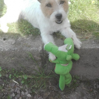 Photo de profil de Fidèle