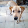 Photo de HOOPER