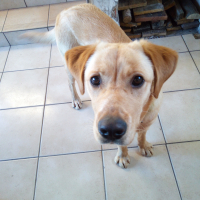 Photo de profil de HOOPER
