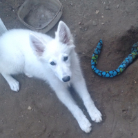 Photo de profil de Maya