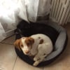 Photo de Noisette
