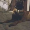 Photo de MASKA