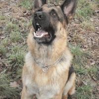 Photo de profil de Cooper