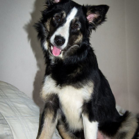Photo de profil de Jude
