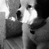 Photo de profil de Lidy