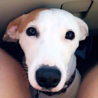 Photo de profil de Lola