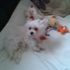 Photo de MILLA