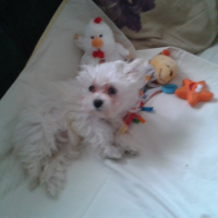 Photo de profil de MILLA