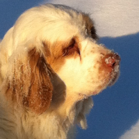 Photo de profil de ELBE