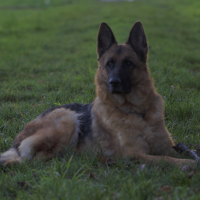 Photo de profil de ghost