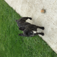 Photo de profil de guess