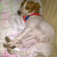 Photo de profil de Mila