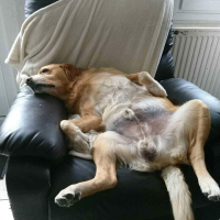 Photo de profil de Arnold