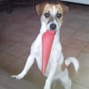 Photo de louna