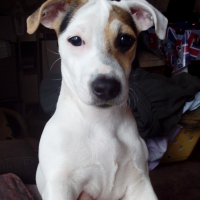 Photo de profil de Moon