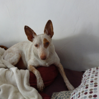 Photo de profil de PIRATA