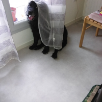 Photo de profil de ORCO