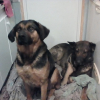 Photo de Jazz