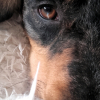 Photo de Junior
