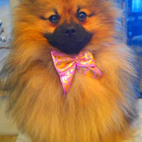 Photo de profil de Mango